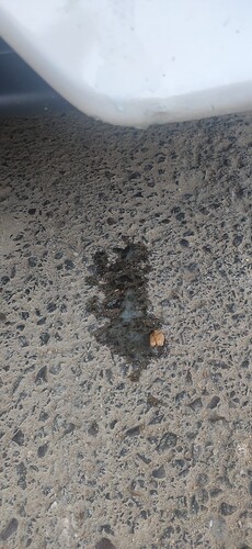 IMG_20250729_203819